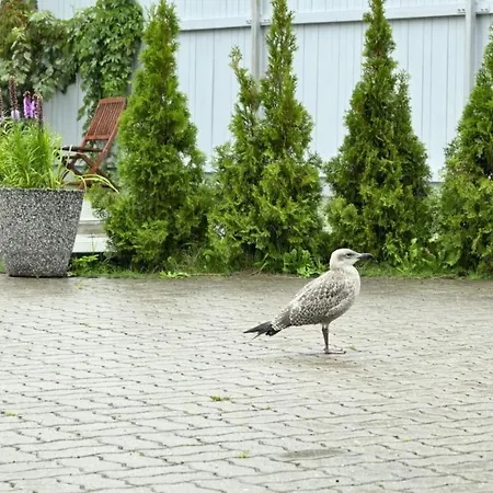 K8 Free Parking Appartement *