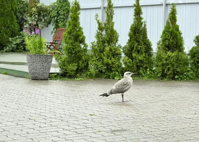 K8 Free Parking Apartment *